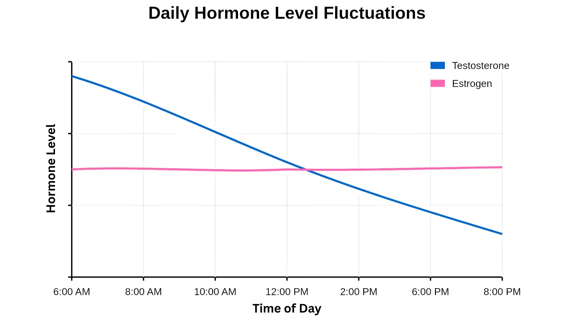Line chart titled 'Daily Hormone Level Fluctuations' showing testosterone highest in early morning then steadily decreasing through evening, while estrogen stays relatively steady with a slight midday rise.