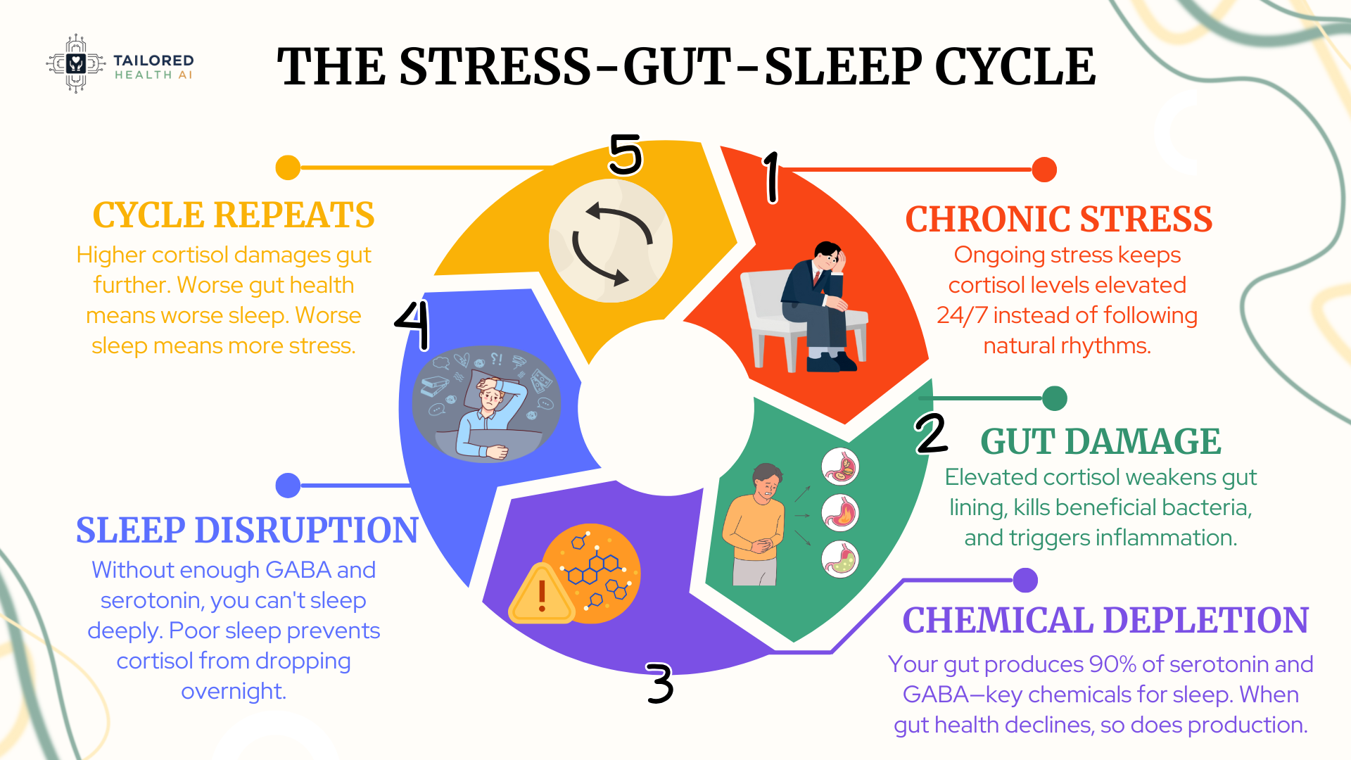 Infographic illustrating the stress-gut-sleep cycle in a circular diagram with five connected segments. Step 1 (red segment) shows a stressed person at a desk, explaining chronic stress keeps cortisol elevated 24/7. Step 2 (green segment) depicts a person with stomach pain, describing how elevated cortisol damages gut lining and kills beneficial bacteria. Step 3 (purple segment) shows a warning symbol with molecules, explaining chemical depletion as the gut produces 90% of serotonin and GABA needed for sleep. Step 4 (blue segment) illustrates someone struggling to sleep, describing sleep disruption due to lack of GABA and serotonin preventing deep sleep and cortisol regulation. Step 5 (orange segment) shows the cycle repeating, with arrows indicating higher cortisol further damages gut health, leading to worse sleep and more stress. Created by Tailored Health AI.